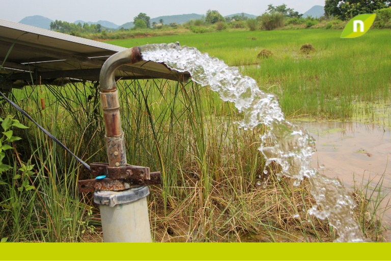 Cómo mejorar la calidad del agua de pozo para la salud y nutrición animal