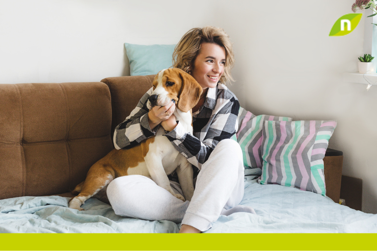 Ley de bienestar animal: todo lo que deberás hacer a partir de ahora si tienes una mascota